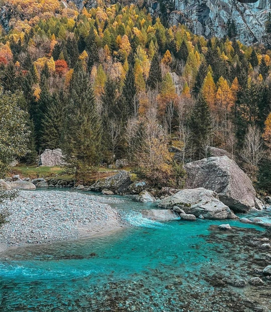Mary House Apartment Sondrio Bagian luar foto